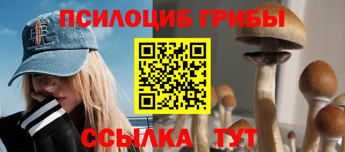 где найти наркотики  Галлюциногенные грибы Psilocybine cubensis  Стрежевой  Вход с VPN  Псилоцибиновые грибы мицелий 